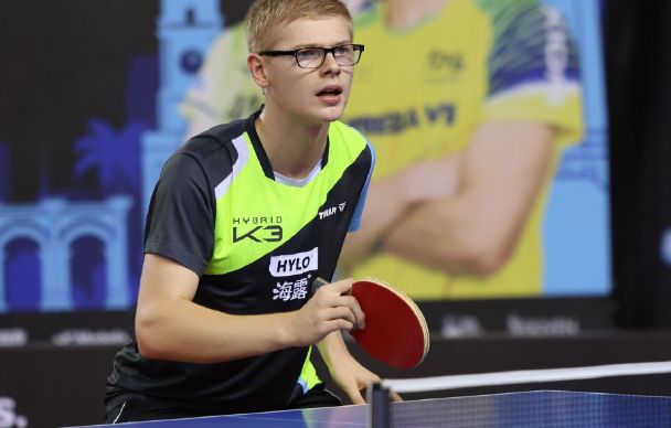 继而导致 继而导致